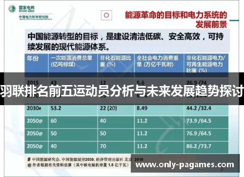 羽联排名前五运动员分析与未来发展趋势探讨