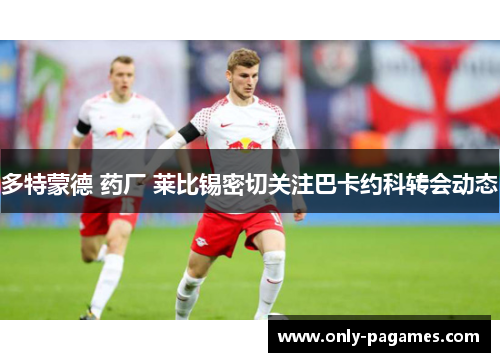 多特蒙德 药厂 莱比锡密切关注巴卡约科转会动态