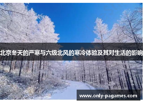 北京冬天的严寒与六级北风的寒冷体验及其对生活的影响